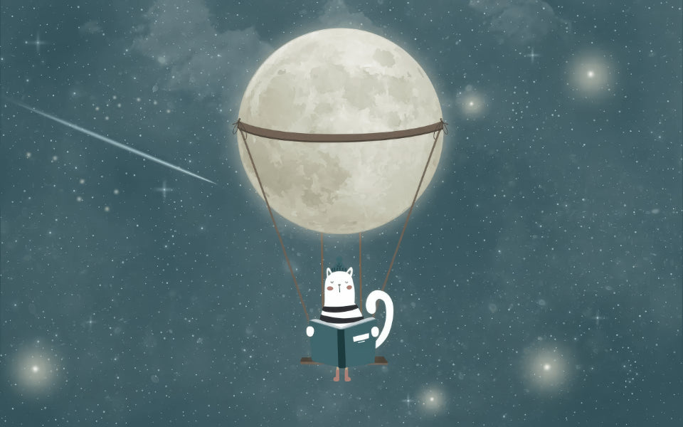 Dreamy Nighttime Wall Mural in your room