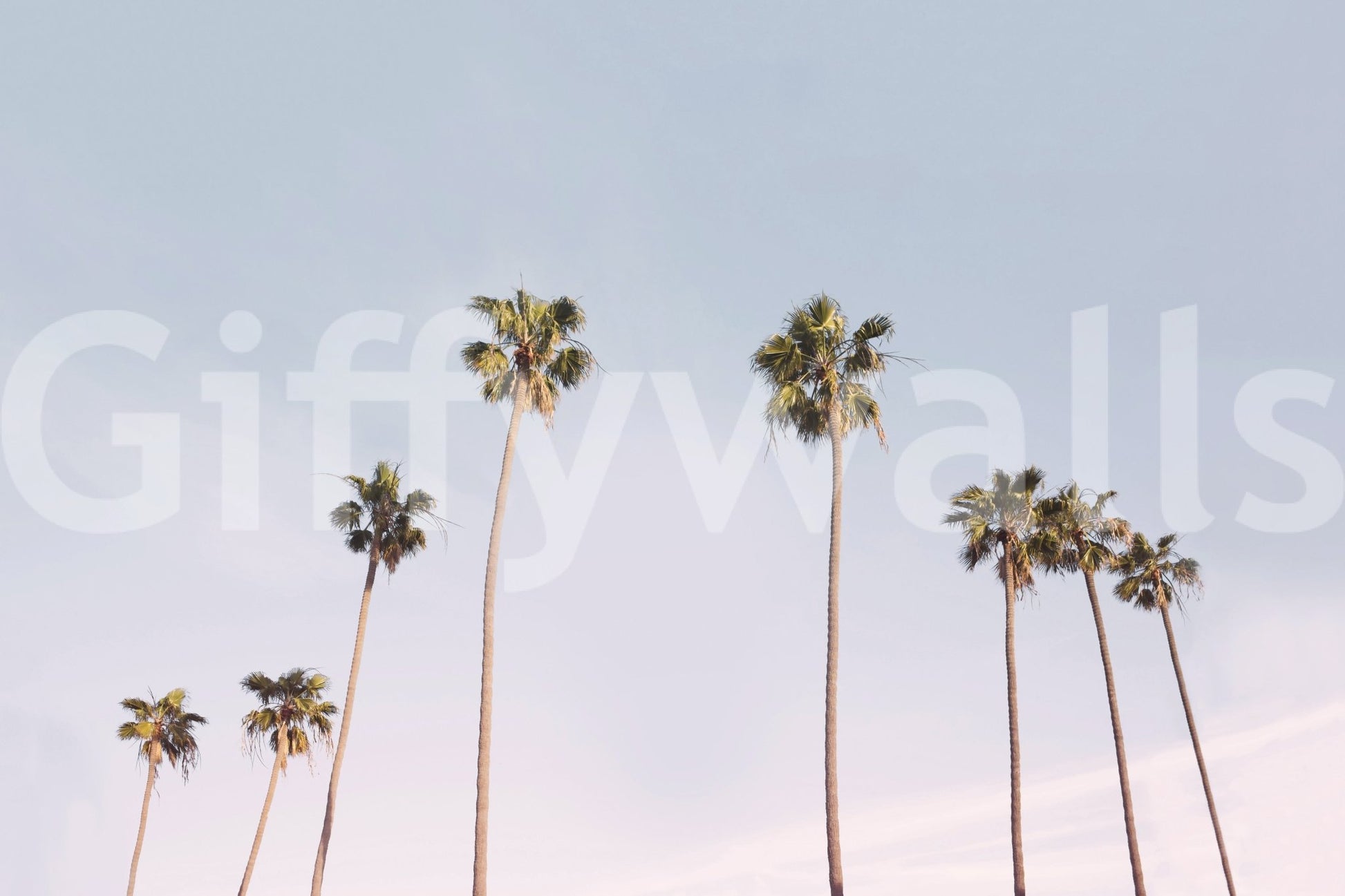 Peaceful California Dreaming wall mural for coastal-inspired decor.

