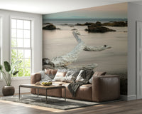 Shoreline Symphony Wall Mural -2595816