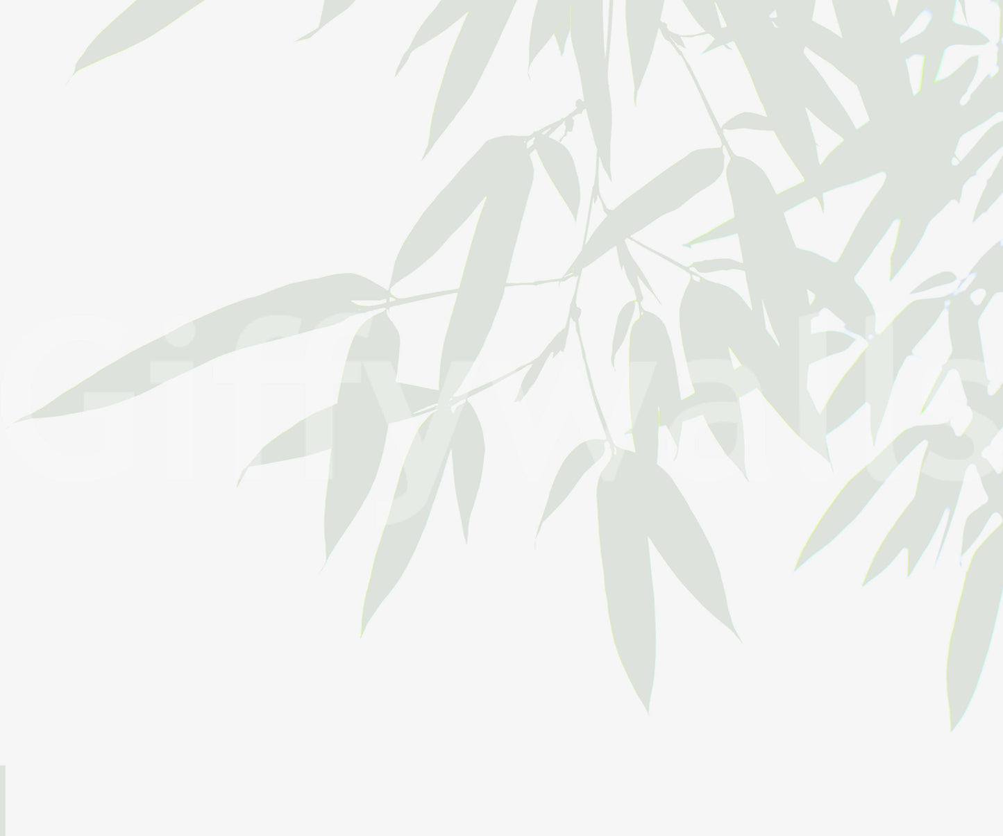 A modern botanical wallpaper featuring subtle bamboo leaf forms for a fresh, airy feel.