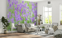 Romantic lavender bloom wallpaper, discover Lavender Field Dream.