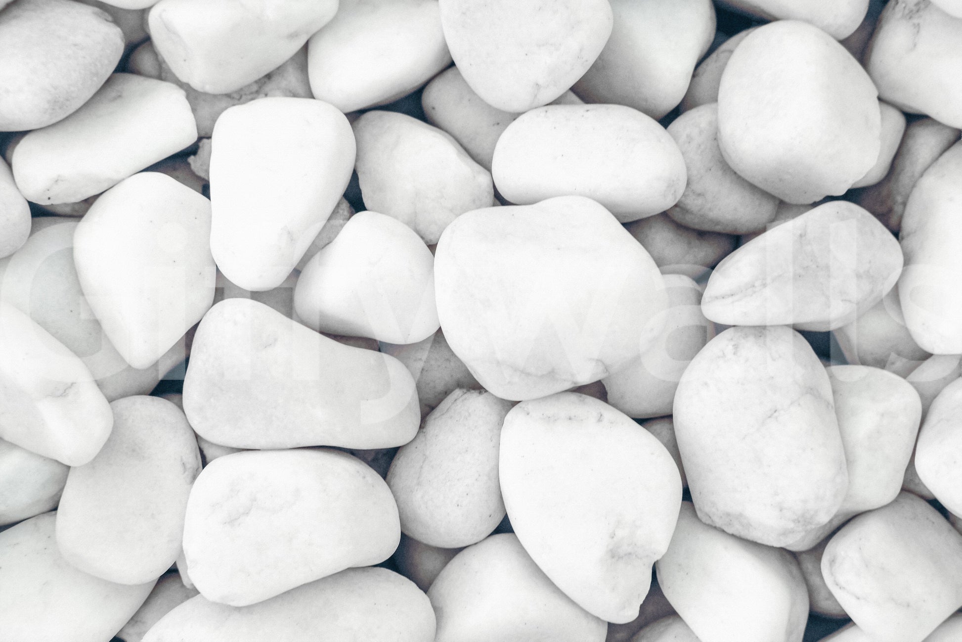 White Pebble Dream wallpaper mural close-up showing smooth rounded white pebbles in soft grey-and-white tones