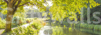 Wall decor evoking serenity and nature's calm.

