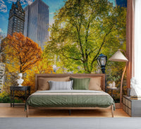 Wall covering Central Park in Fall Colors, parkland grass, crisp fall day feeling.