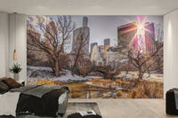 Ideal for a living room, study, or office.


