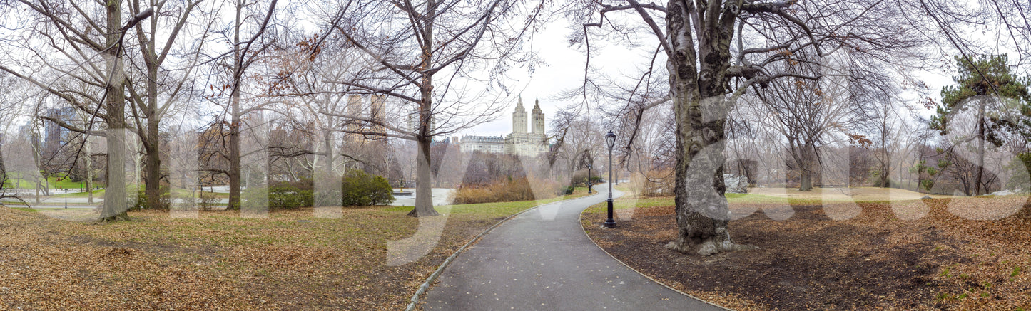 Urban garden skyline wallpaper in meeting room, modern office decor, relaxing green tones