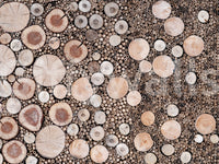 Mixed-size timber slice mural

