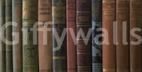 Traditional library wall mural with volumes