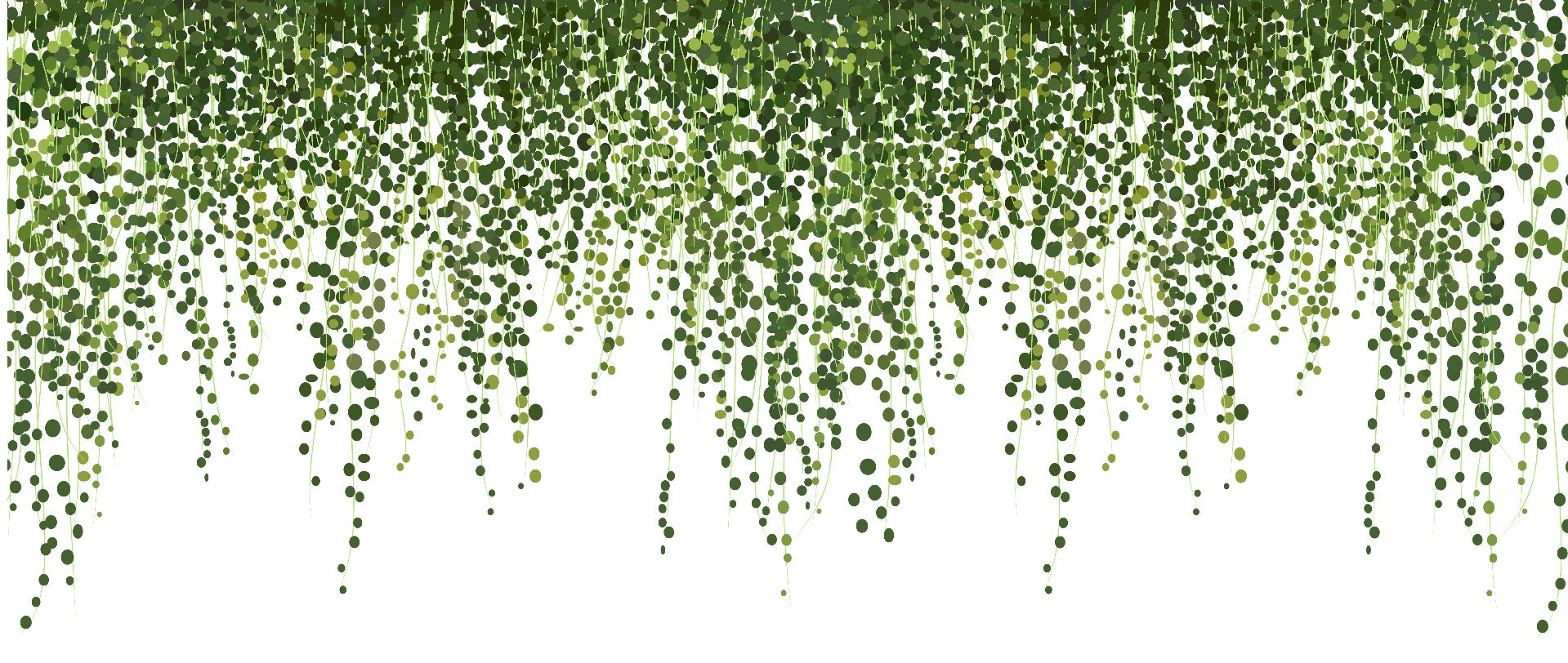 Green Hanging Ivy Leaves Wallpaper Mural