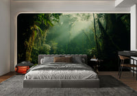 A peaceful open forest mural on decorative wallpaper.

