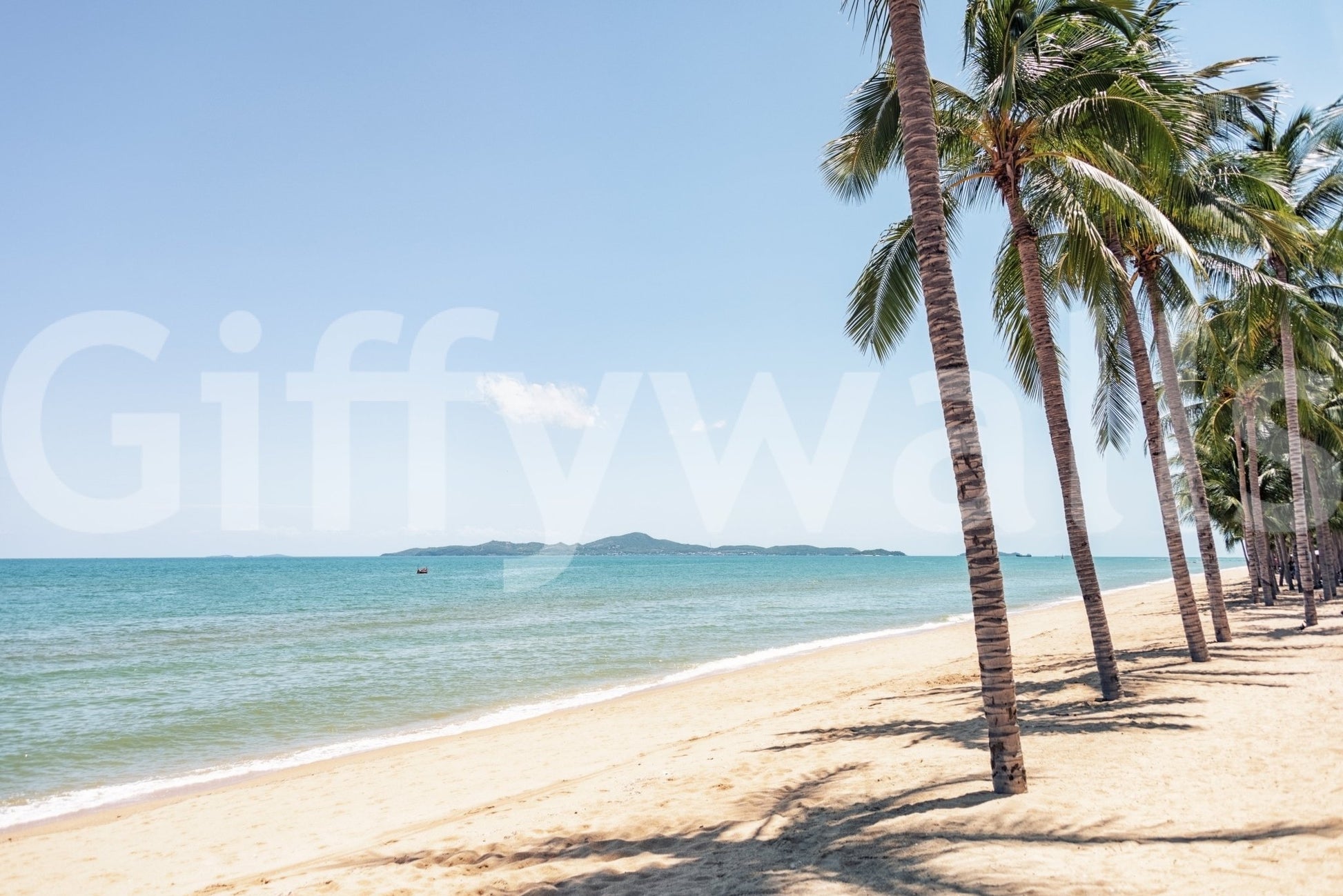 Coastal Palm Serenity wallpaper mural shown full-wall with coconut palms lining a turquoise tropical beach