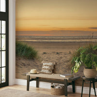 Grassy dune wallpaper mural with tranquil beach tones.

