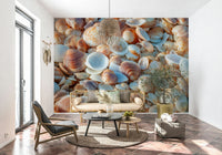 Natural seaside Coastal shells close-up wallpaper texture.
