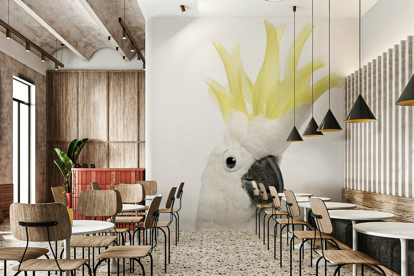 Cockatoo wall mural with tropical foliage

