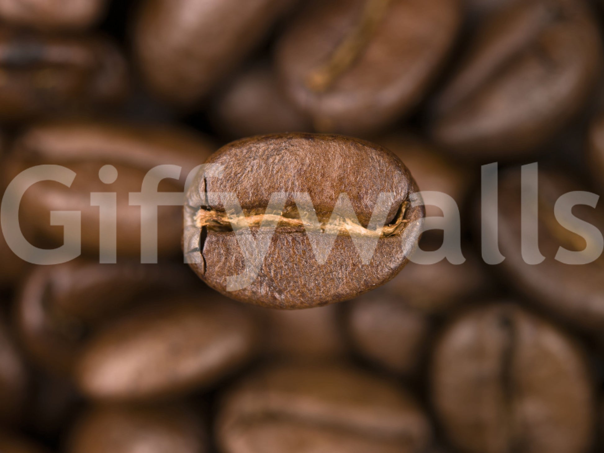 A vibrant wallpaper capturing the natural texture of coffee beans, perfect for kitchens, cafés, or coffee lovers’ spaces.