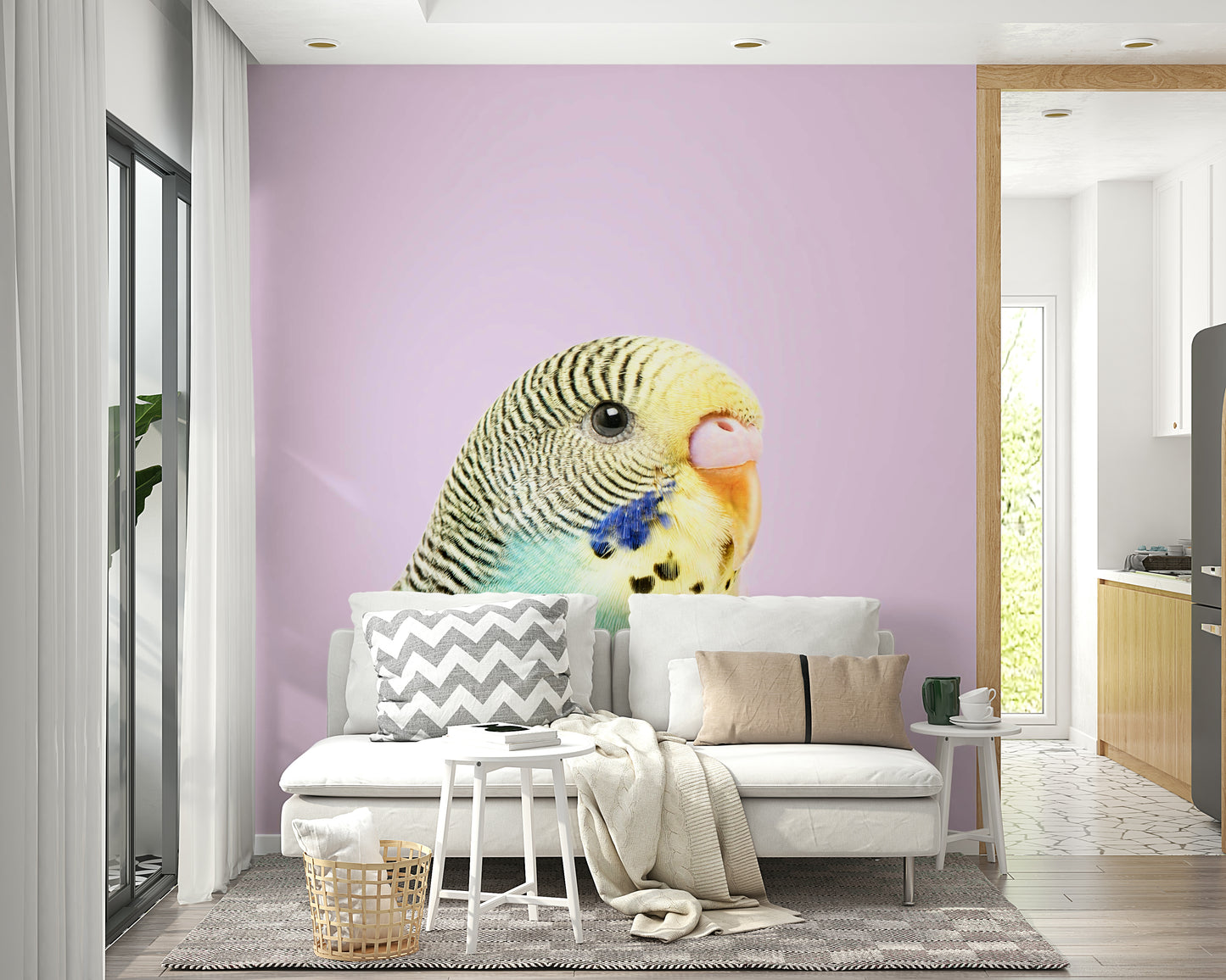 Nature wall mural with colorful budgerigar birds

