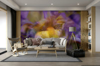 A close-up view shows the smooth, blending colors of the abstract art.

