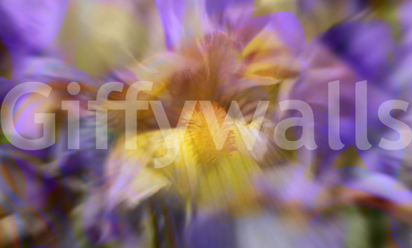 Colorful Floral Abstract Art Print - Nature - Inspired Wall Decor Wall Mural
