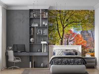 Colours of Central Park Wall Mural