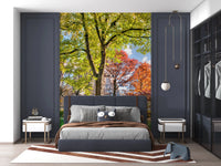 Colours of Central Park Wall Mural