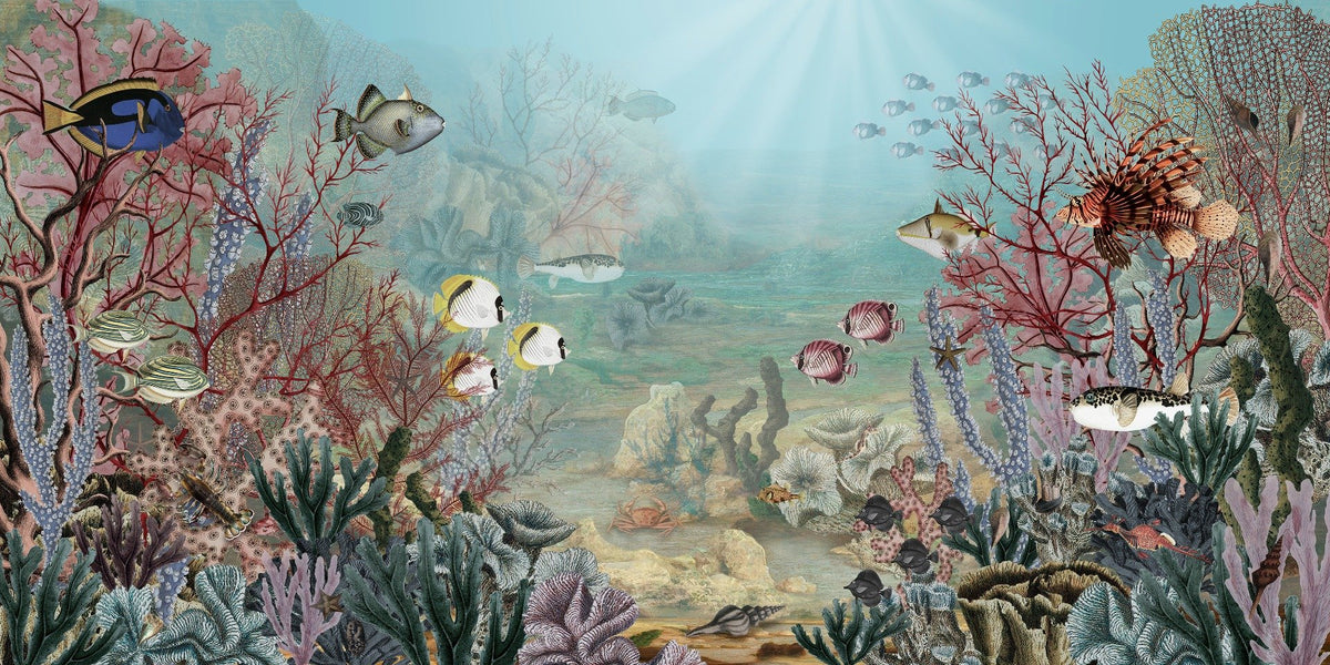Underwater Corel reef wallpaper for walls in your room — zoomed