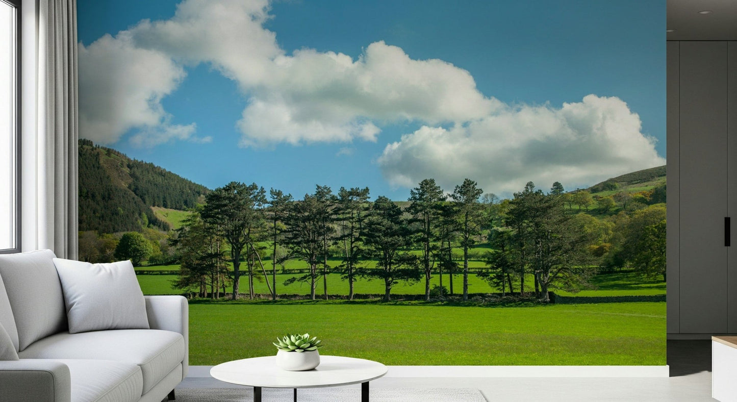 Countryside Meadow Wall Mural