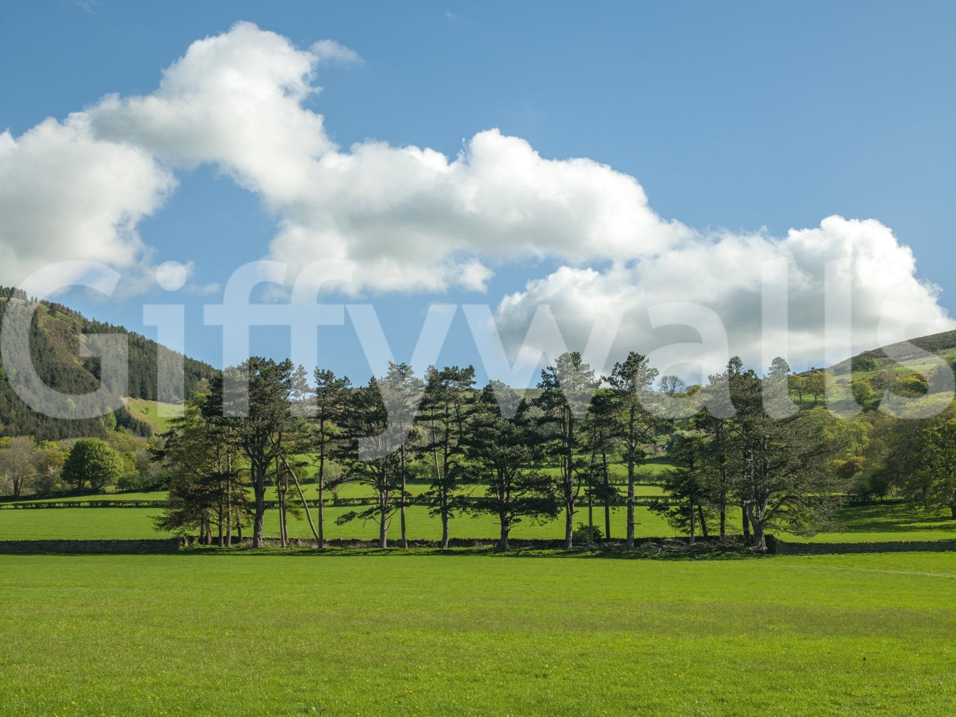 Countryside Meadow Wall Mural