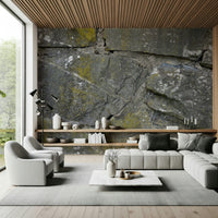 Textured wall mural with weathered, cracked stone patterns creating a bold accent wall.