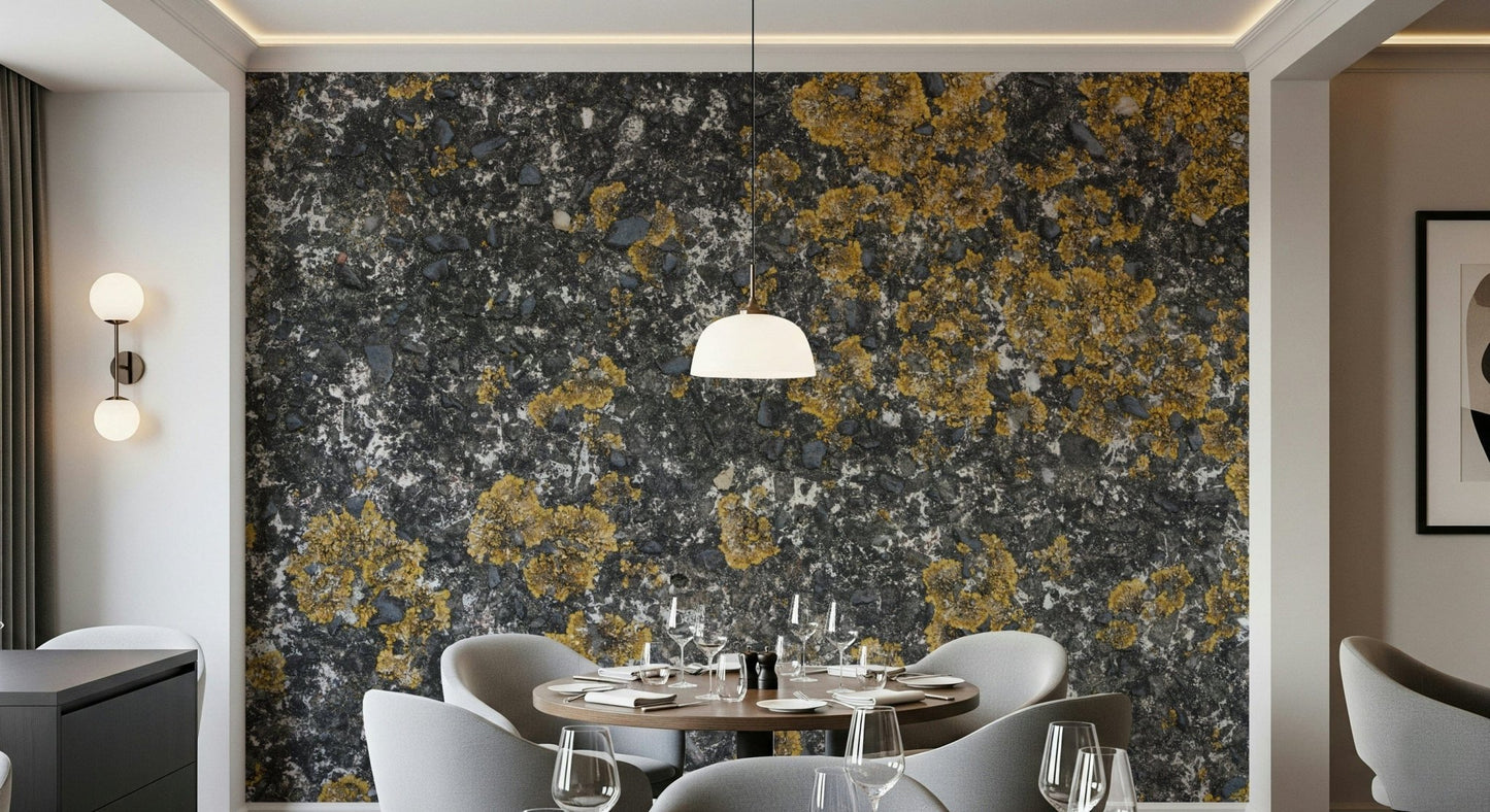 Cracked Stone Wall Mural -2566609