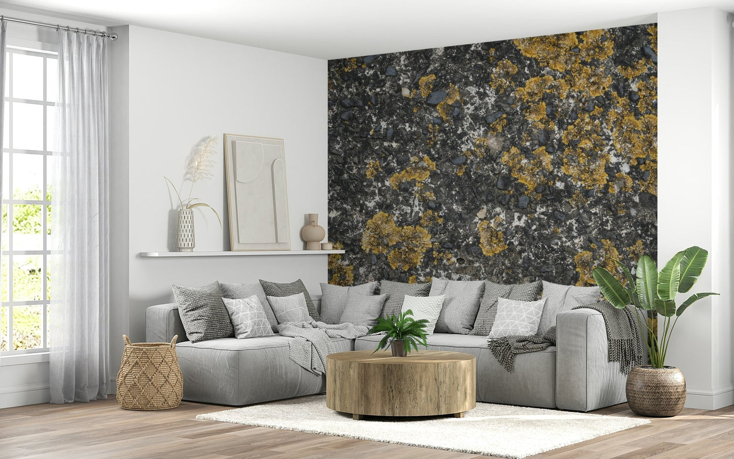 Cracked Stone Wall Mural -2566609