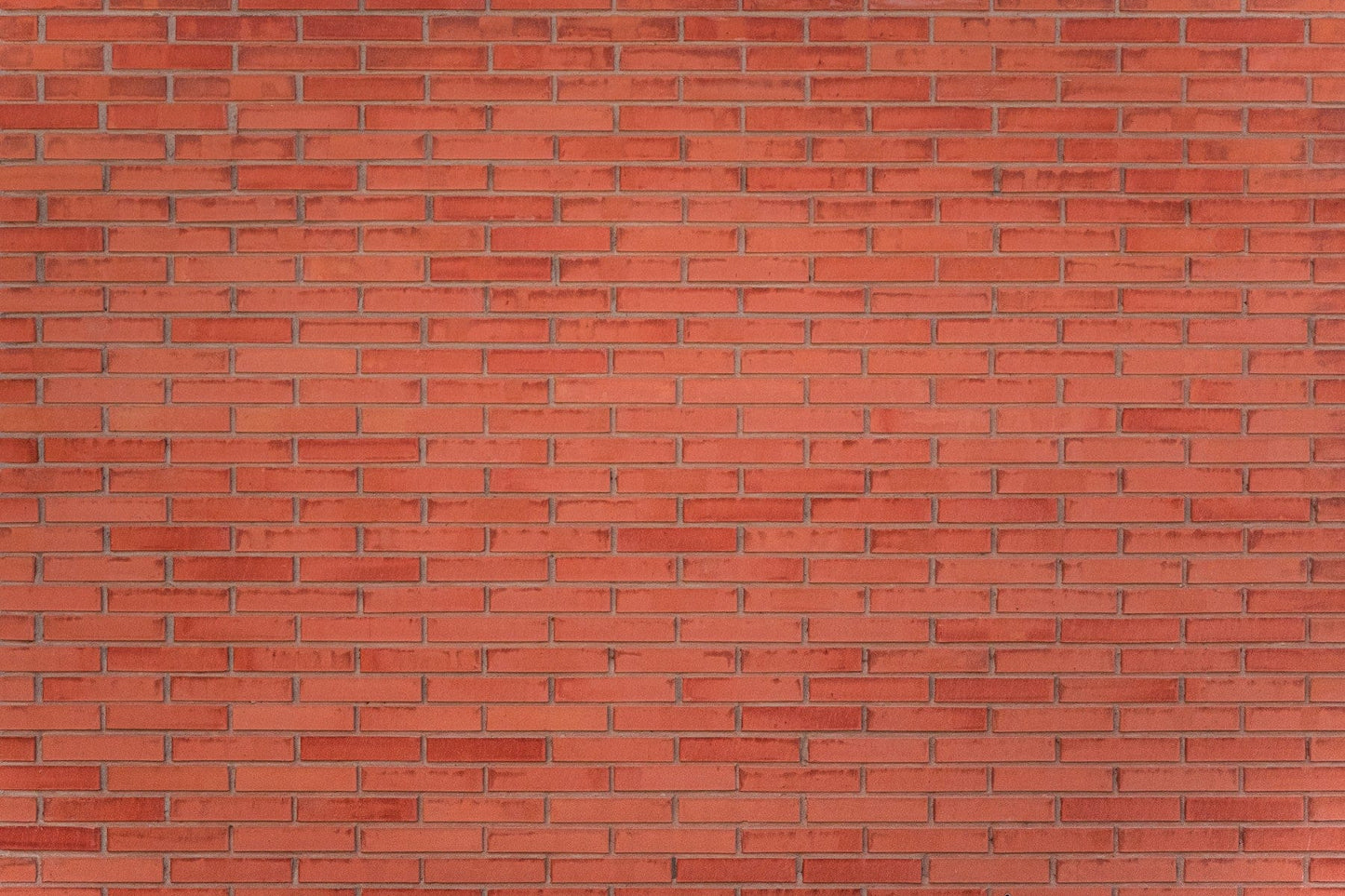 A high-quality realistic brick wall mural for walls.

