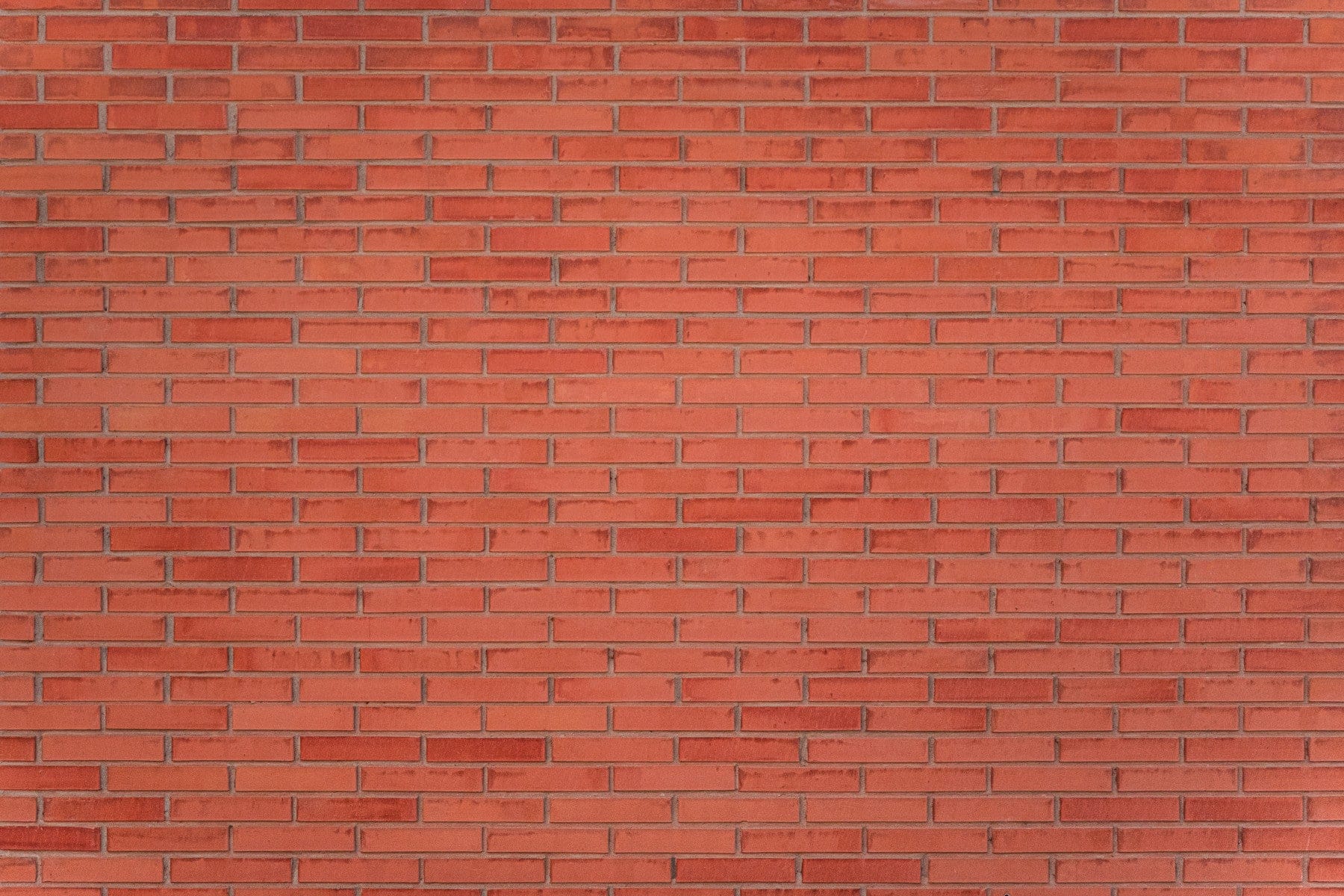 A high-quality realistic brick wall mural for walls.

