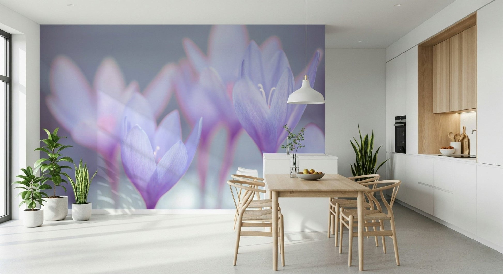 Lavender petals wall mural with blurred backdrop