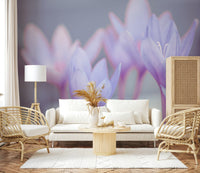 Floral close-up wall mural in gentle tones