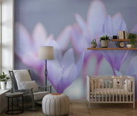 Crocus petals wall mural with airy feel