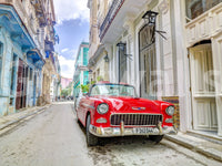 Cuban Classics Wall Mural
