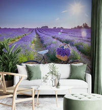 Nostalgic bike in a lavender field wall mural for peaceful rooms.

