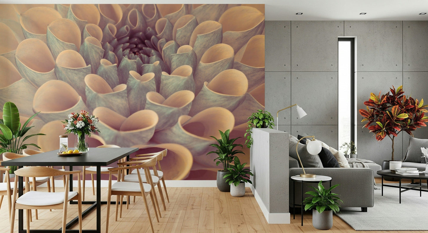 Elegant wall mural with detailed petals of a dahlia forming a mesmerizing spiral center.