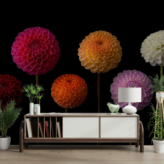 Dahlia flower mural wallpaper

