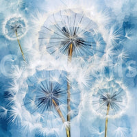 Dandelion Dreams wallpaper mural close-up showing the pattern detail of white dandelion seed heads on soft blue watercolor