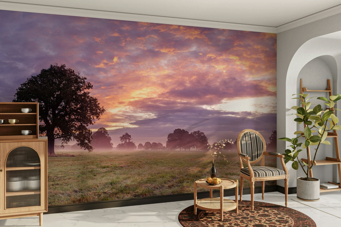 daybreak serenity wall mural

