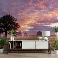 sunrise wallpaper for a bedroom

