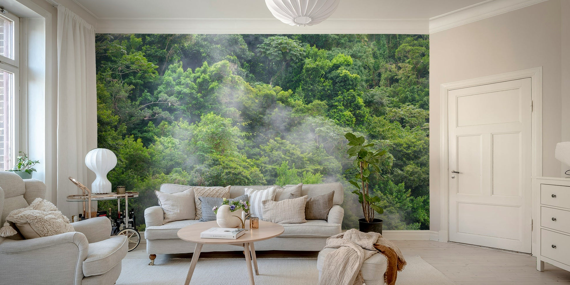 Misty forest wallpaper for walls

