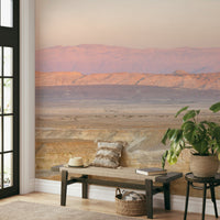 Light pink desert mural wallpaper

