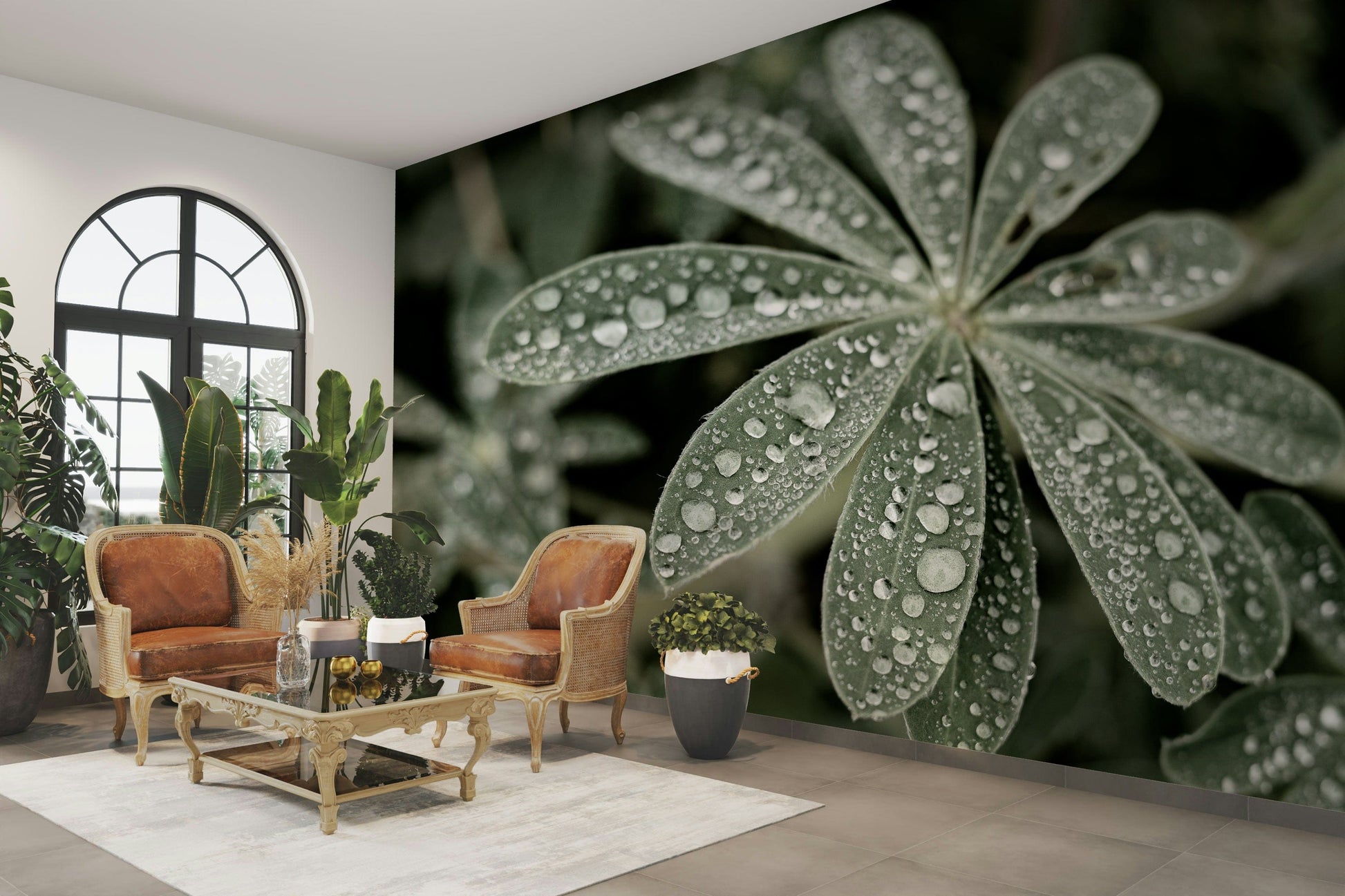 The wallpaper for walls being admired in a home.