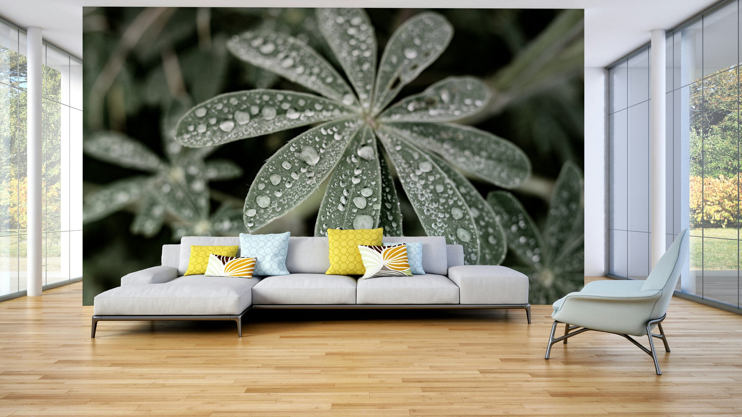 The wallpaper is used as a feature wall in a bedroom.
