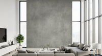Dirty Paper - Greige Wall Mural