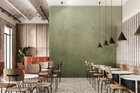Dirty Paper - Ombre Olive Wall Mural