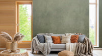 Ombre Sage wall mural above a grey sofa with rust and cream cushions in a wood-slat walled living room