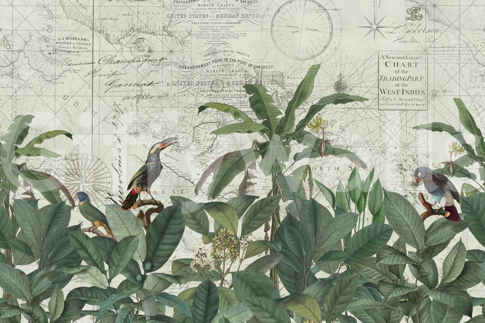 Nature-meets-nostalgia mural wallpaper design

